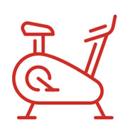 ikona